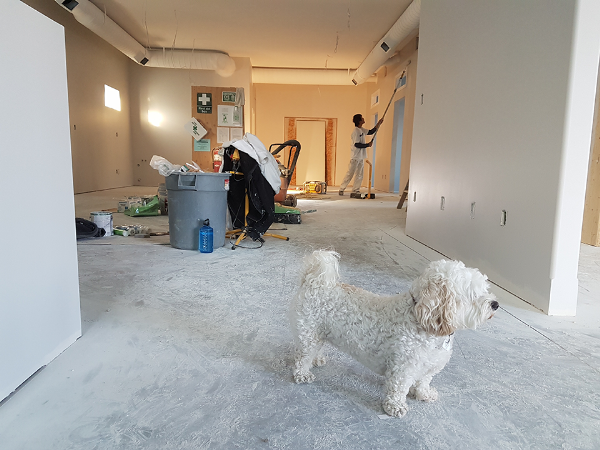 Dusty floor during construction