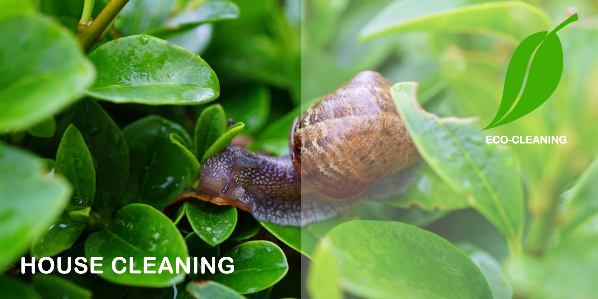 House Cleaning page top picture