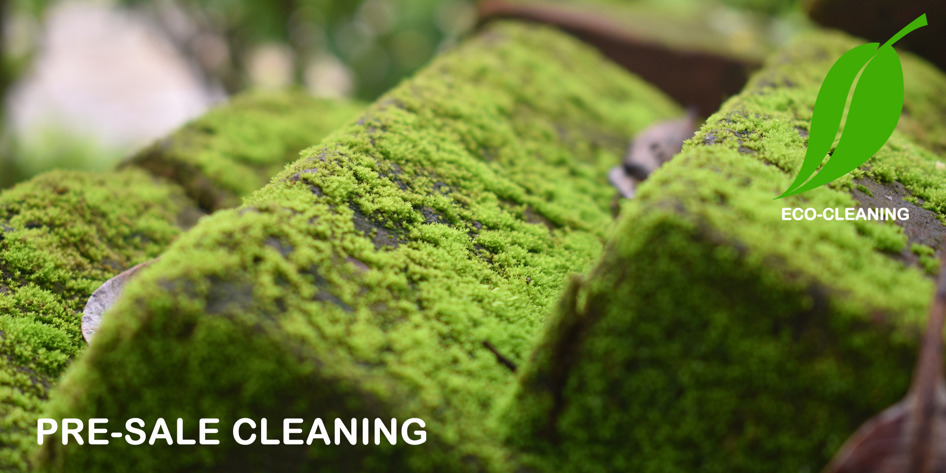 Pre-Sale Cleaning page top picture